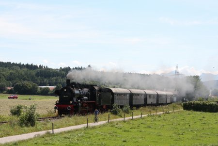 Dampfzug